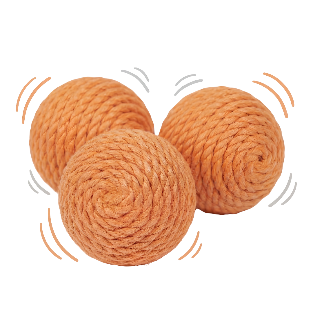KittyClaw Rattle Balls